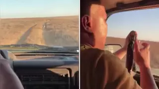 Видео жестокого убийства волка опубликовали в Казнете