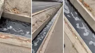 "Слив канализации" в арык сняли на видео в Алматы