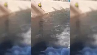 Спас из ледяной реки: героический поступок алматинца сняли на видео