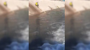 Спас из ледяной реки: героический поступок алматинца сняли на видео