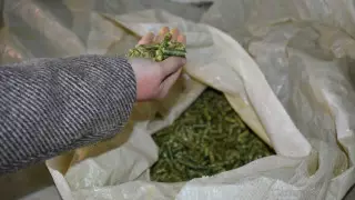 В Казахстане наблюдается рост инвестиций в сельское хозяйство