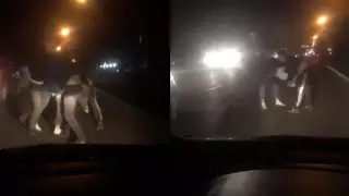 Массовая драка на дороге попала на видео в Алматы