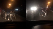 "Герои" видео массовой драки на дороге в Алматы задержаны