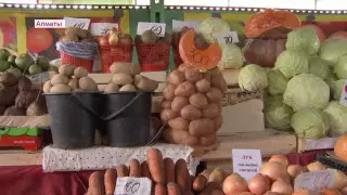 Предельную стоимость для продуктов хотят ввести в Алматы