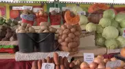 Предельную стоимость для продуктов хотят ввести в Алматы