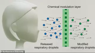 Маску с антивирусным химическим слоем представили ученые