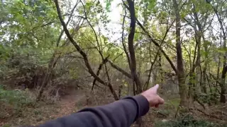 Фото огромных радиоактивных грибов сделали в Чернобыльской зоне