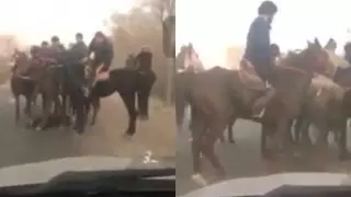 Кокпар на трассе устроил отец в честь сына в Алматинской области