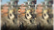 Массовое ДТП в Алматы: водитель выпрыгнул на ходу из грузовика