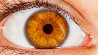 Роговица глаз может сдерживать коронавирус - исследование