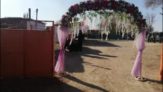 19 свадеб за день выявили в Кызылординской области