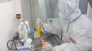 Вторая ПЦР-лаборатория введена в строй в Вооруженных Силах