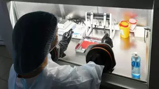 О вспышке еще одного смертельного вируса предупреждают ученые