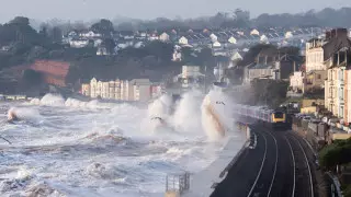 Британский город лишился своего символа из-за заморозков