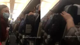 Самолет столкнулся со стаей птиц: пассажирам вернут деньги за билеты