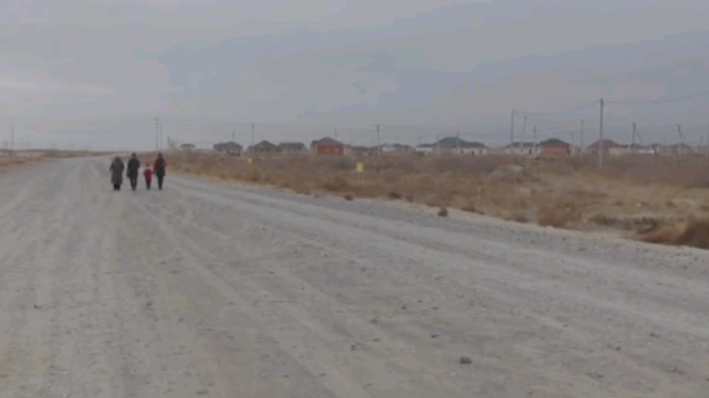 "Сюда боятся ехать даже таксисты". Шакалы атаковали новый микрорайон в Кызылорде