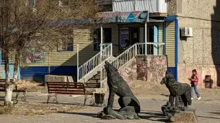 Бродячие собаки загрызли шестилетнюю девочку в Сатпаеве