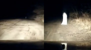 Полицейские доложили о первых шагах в поиске призрака