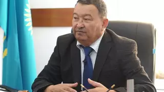 Экс-главврач детской больницы Шымкента озеленил родной аул за бюджетные деньги