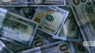 В использовании 800 тысяч фальшивых долларов обвиняют алматинца