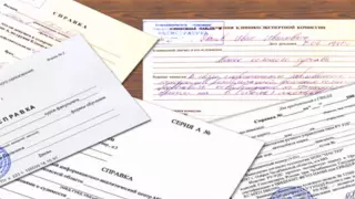 Исключить все бумажные справки до 2021 года поручил Мамин