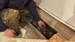 Плесень и сырость. Переселенцы с юга на север показали свои "красивые" дома