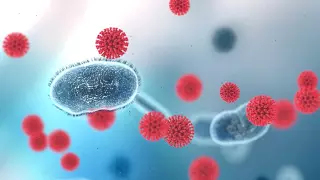 Иммунитет к коронавирусу сохраняется даже после исчезновения антител - ученые