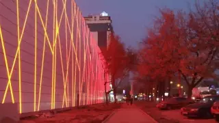 Деревья в Алматы вырубили подрядчики Sulpak - акимат