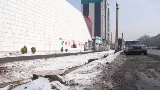 "70-летние ценные породы" - эксперт о срубленных деревьях у Sulpak