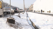 Оценен ущерб от вырубки деревьев у Sulpak в Алматы