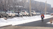 Полицейских могут наказать из-за вырубки деревьев у Sulpak
