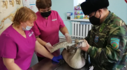 Выжившему во время отстрела лебедю дали имя