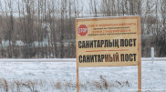 Постановление главного санврача рассмешило жителей Северного Казахстана