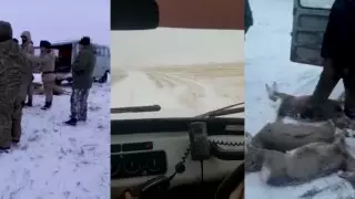 Видео погони за браконьерами показали в КНБ