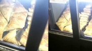 Бегающую по самсе крысу сняли на видео в Алматы