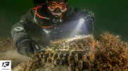 Легендарную шифровальную машину обнаружили на дне Балтийского моря