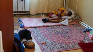 Вся жизнь в вагончике. Актюбинские семьи воспитывают детей в нечеловеческих условиях