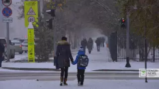 Школьников Нур-Султана перевели на дистанционку из-за погоды