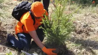 Экоактивность в Technodom. Глобальное движение, а не разовые проекты