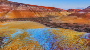 Лучшие места для фототуров в Казахстане