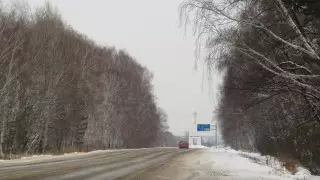 На севере Казахстана назвали причины возвращения переселенцев обратно на юг