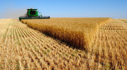Производство сельхозпродукции выросло в Акмолинской области