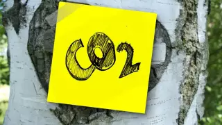 Пандемия рекордно снизила выбросы углекислого газа