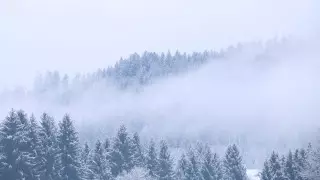 Штормовое предупреждение из-за тумана объявили в четырех регионах