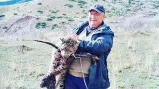 Стало известно, где был сделан снимок с барсом