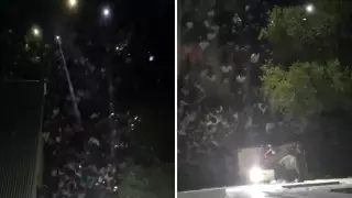 Похищение девочки в Сатпаеве: руководство СИЗО наказали за суицид подозреваемого