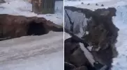 Дорога провалилась под землю в Алматы