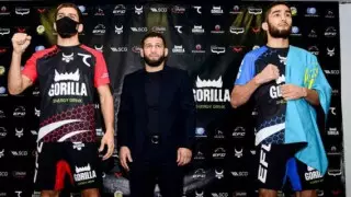 Небитый казахстанец "задушил" чеченского соперника на EFC 31