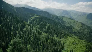 Новый Экологический кодекс принял Парламент Казахстана