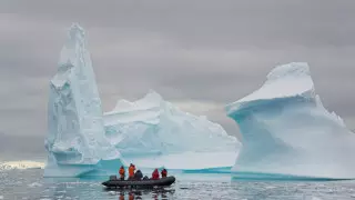 Коронавирус достиг Антарктиды